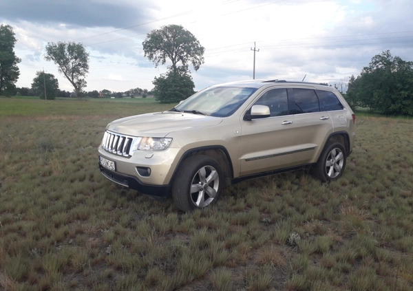 Jeep Grand Cherokee cena 62500 przebieg: 231000, rok produkcji 2011 z Poznań małe 121